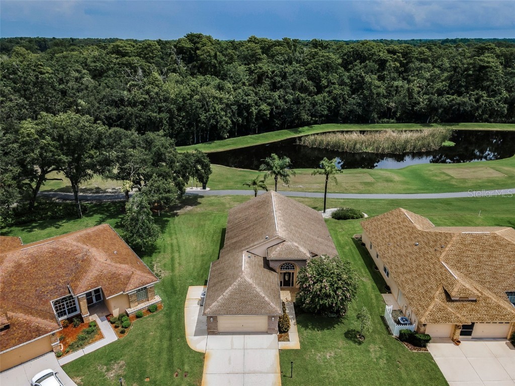 6622 Pine Walk Drive New Port Richey FL 34655 W7879281 image4