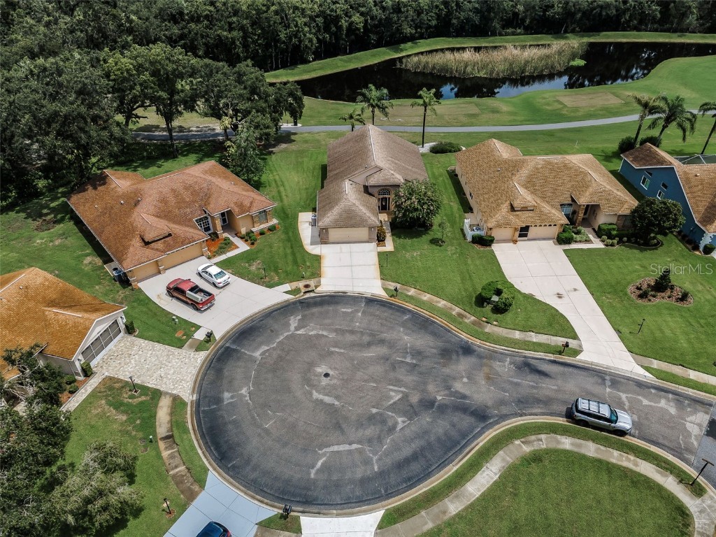 6622 Pine Walk Drive New Port Richey FL 34655 W7879281 image5