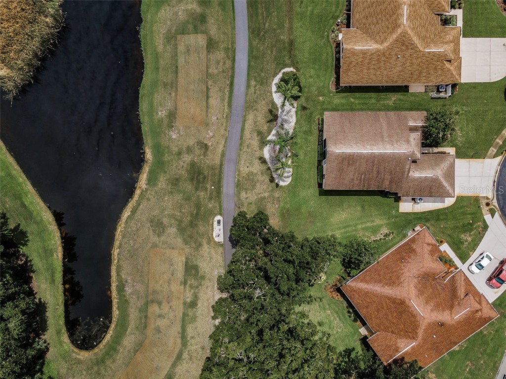 6622 Pine Walk Drive New Port Richey FL 34655 W7879281 image6