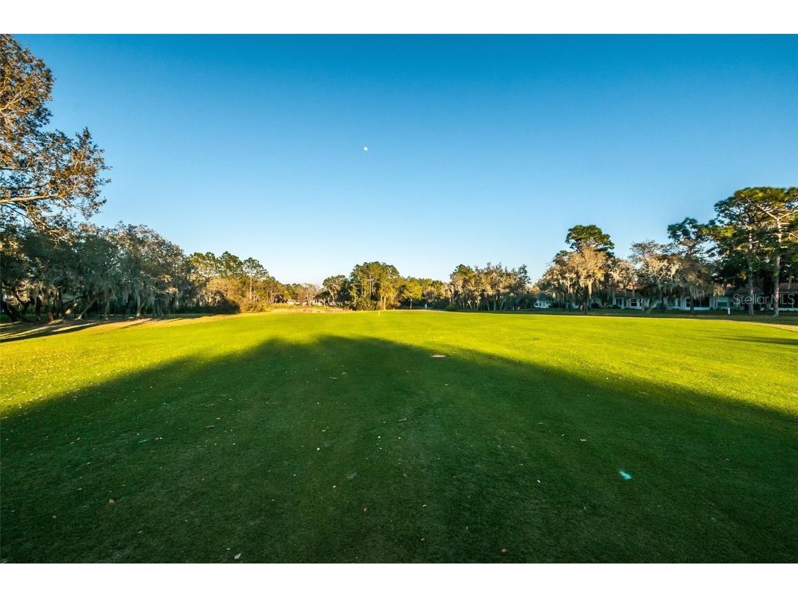 6622 Pine Walk Drive New Port Richey FL 34655 W7879281 image62