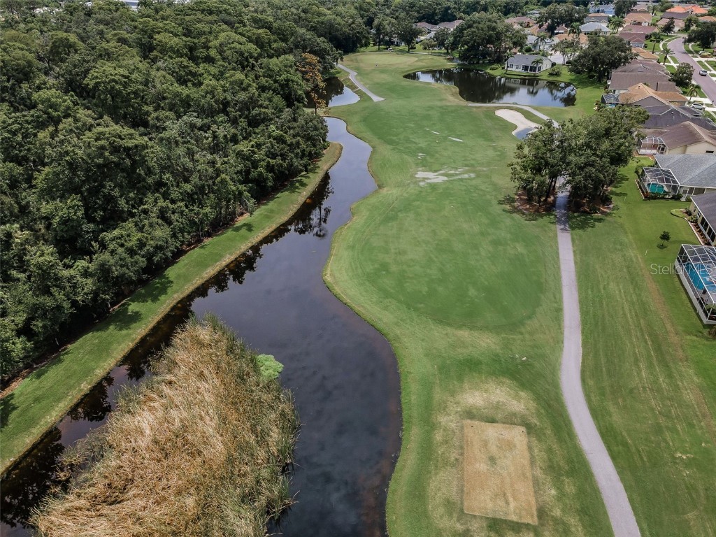 6622 Pine Walk Drive New Port Richey FL 34655 W7879281 image7