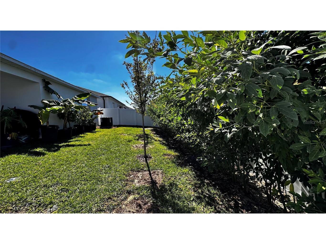 6623 Lullaby Way Mascotte FL 34753 TB8439255 image24