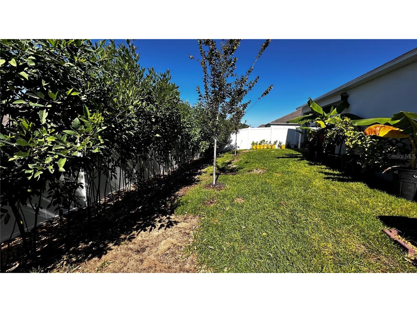 6623 Lullaby Way Mascotte FL 34753 TB8439255 image25