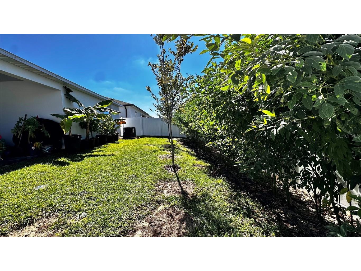 6623 Lullaby Way Mascotte FL 34753 TB8439255 image26