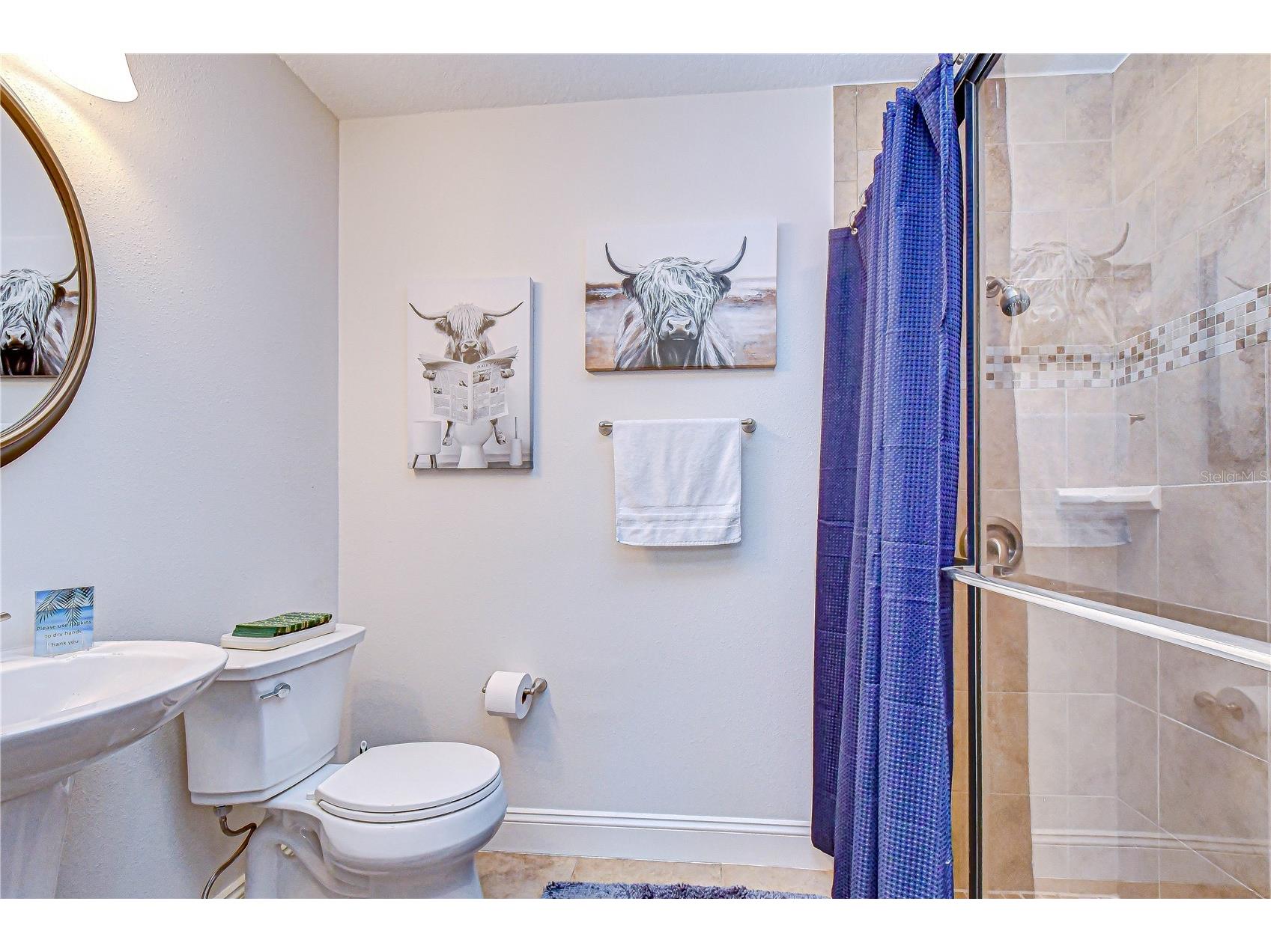 6623 Stonington Drive N Tampa FL 33647 TB8484481 image12