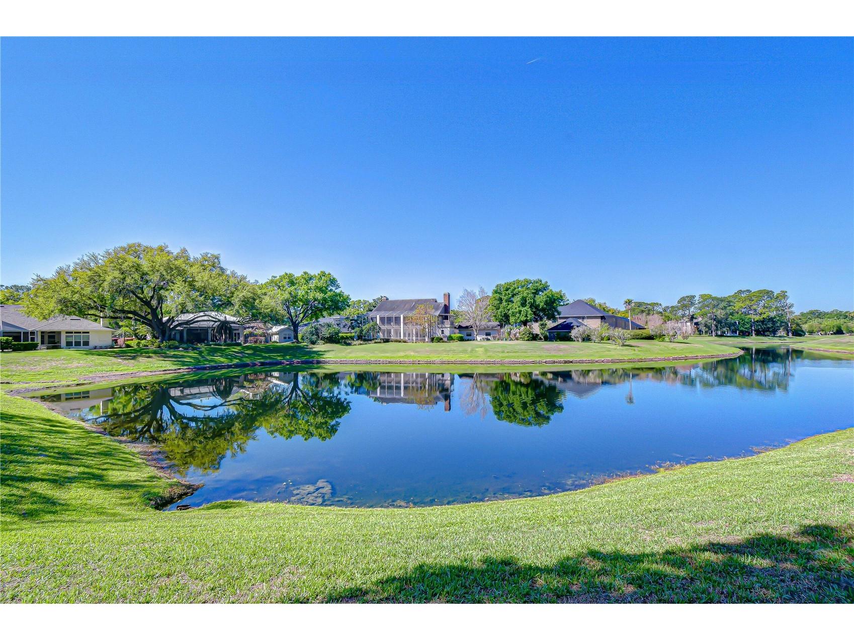 6623 Stonington Drive N Tampa FL 33647 TB8484481 image58