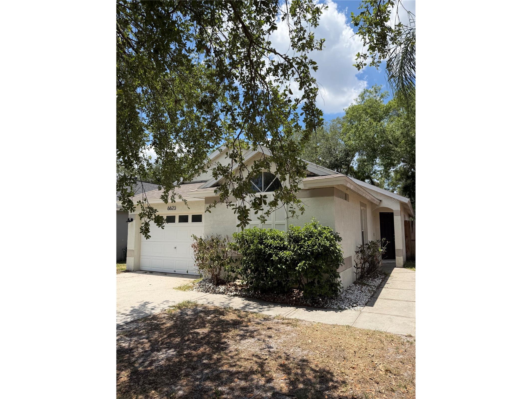 6623 Summer Haven Drive Riverview FL 33578 TB8509484 image17