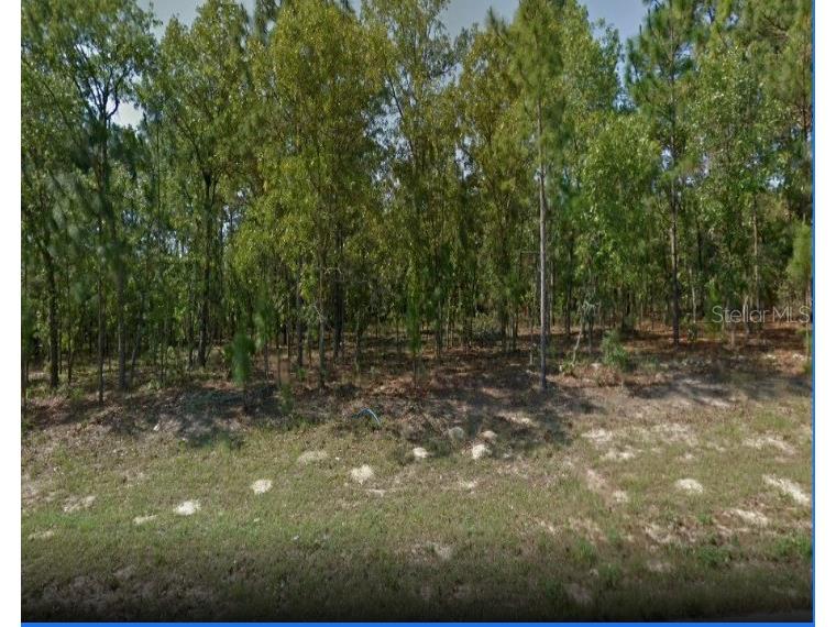 6624 N Bedstrow Boulevard Citrus Springs FL 34434 U8191277 image1