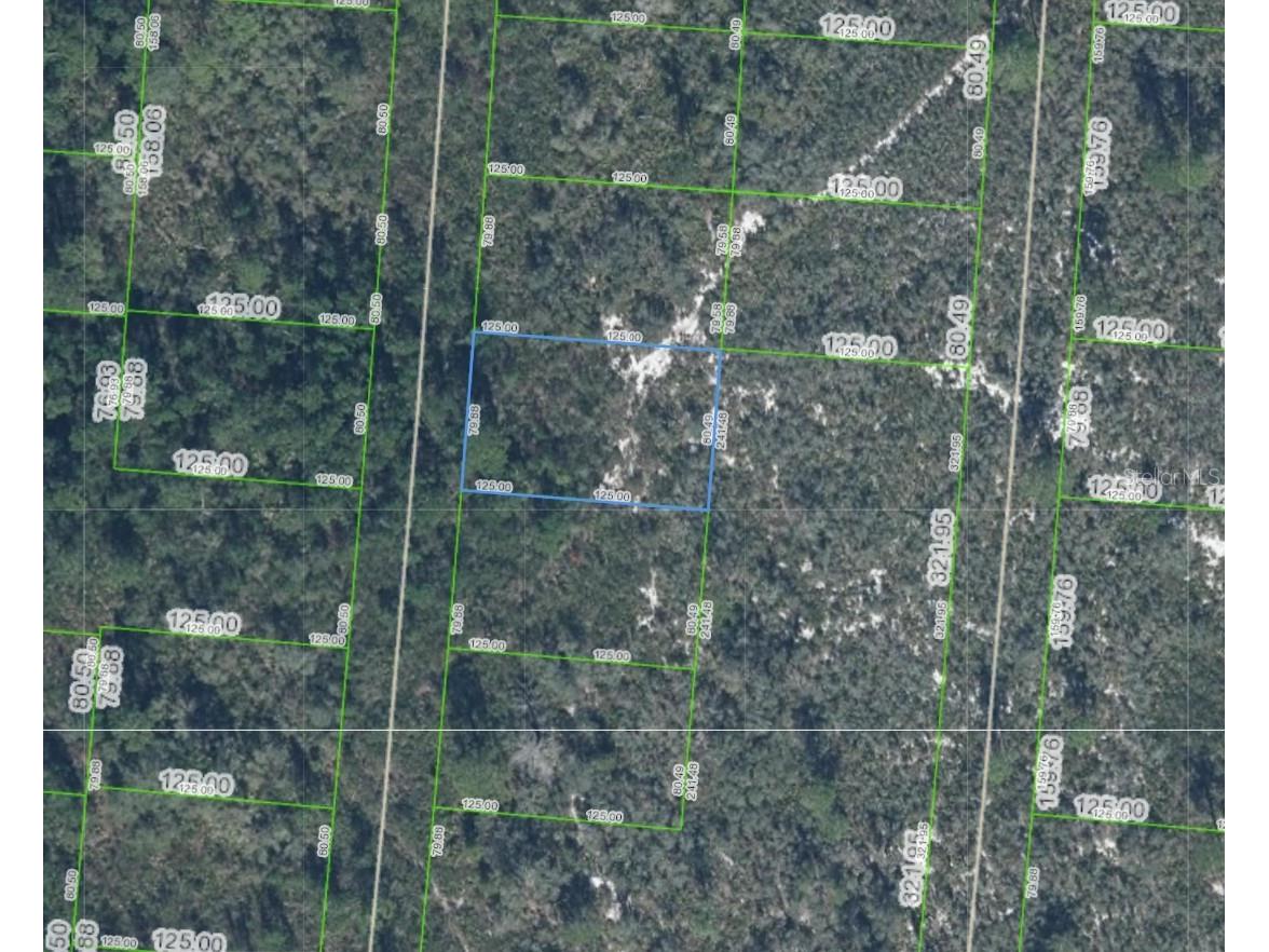 6624 Portilla Drive Sebring FL 33872 P4938300 image1