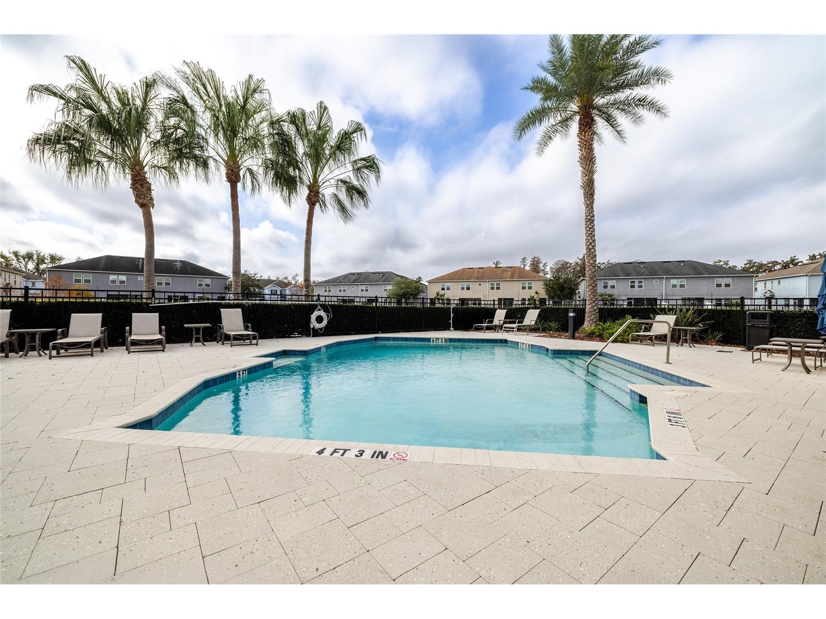 6625 Citrus Creek Lane #N/A Tampa FL 33625 TB8468631 image20