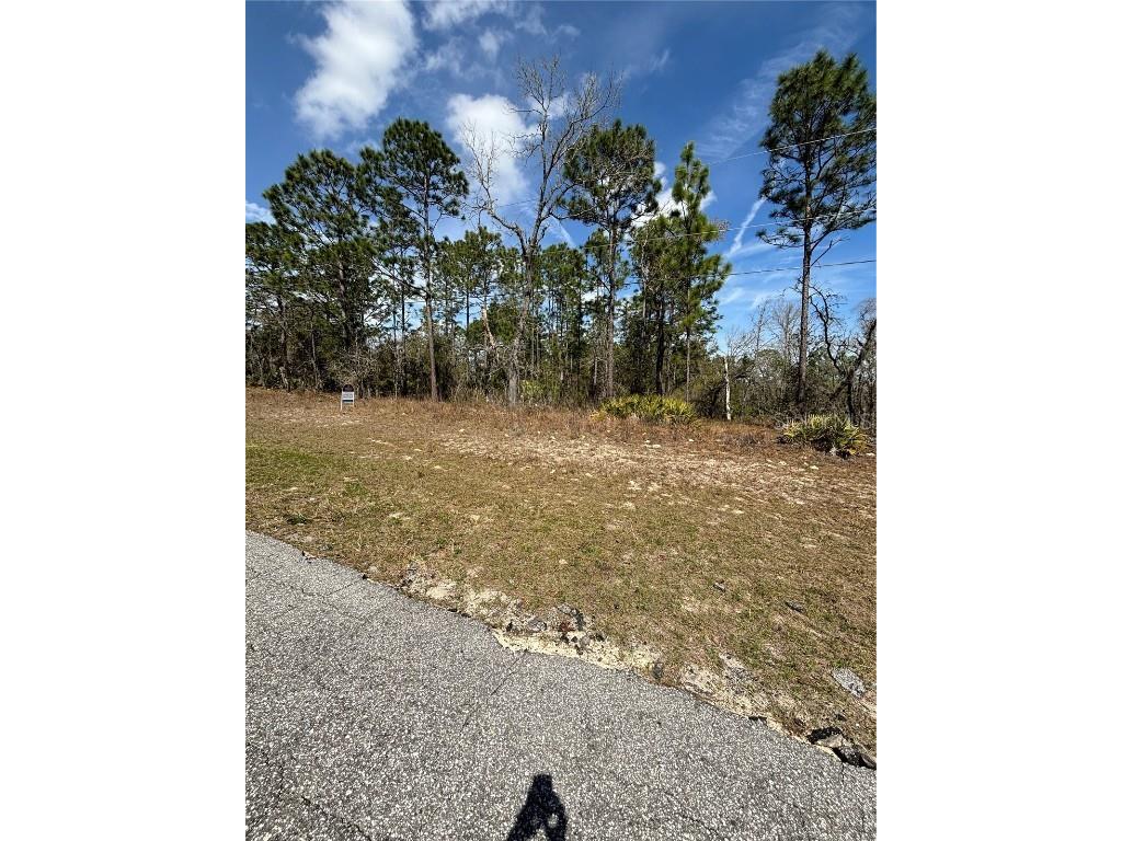 6627 N Bedstrow Boulevard Citrus Springs FL 34434 GC519853 image1