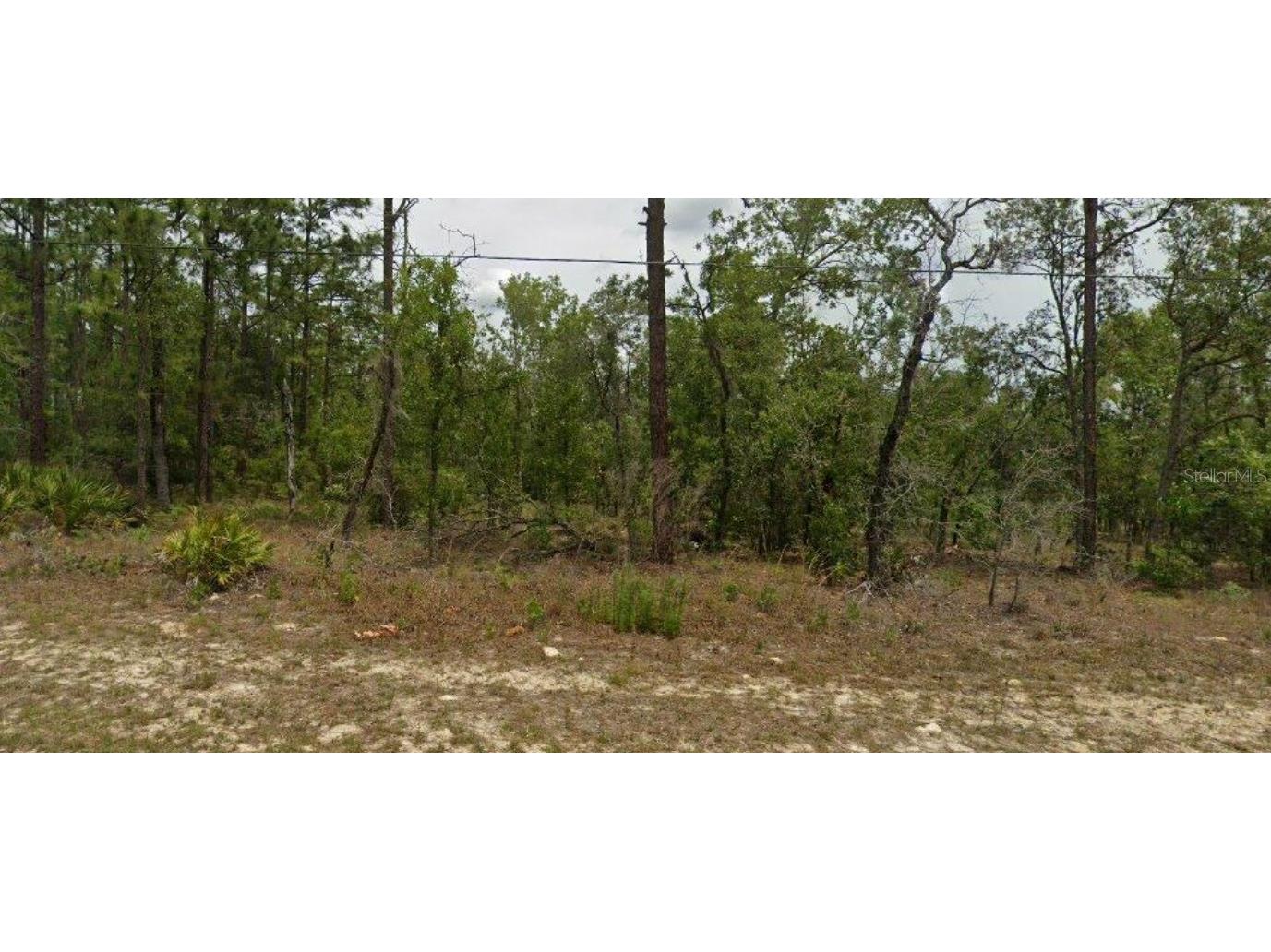 6627 N Bedstrow Boulevard Citrus Springs FL 34434 OM707469 image1