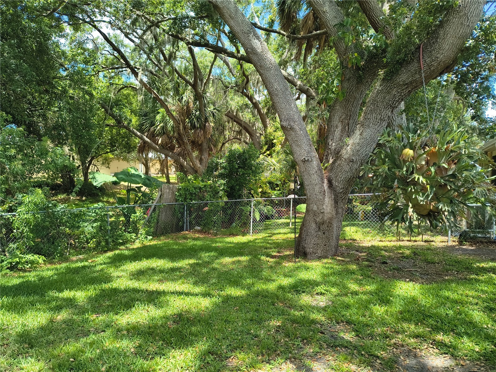 6627 Parkside Drive New Port Richey FL 34653 W7886139 image2