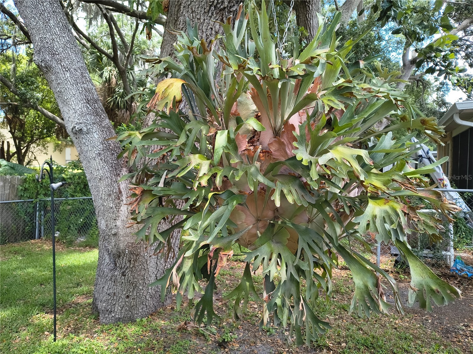 6627 Parkside Drive New Port Richey FL 34653 W7886139 image53