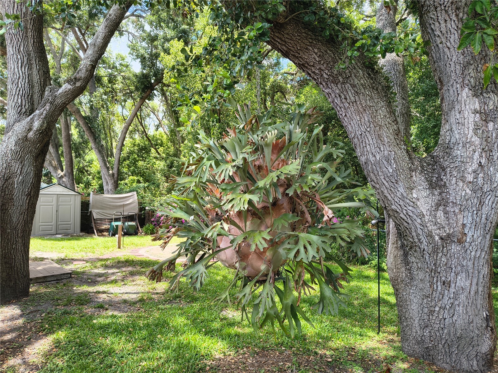 6627 Parkside Drive New Port Richey FL 34653 W7886139 image54