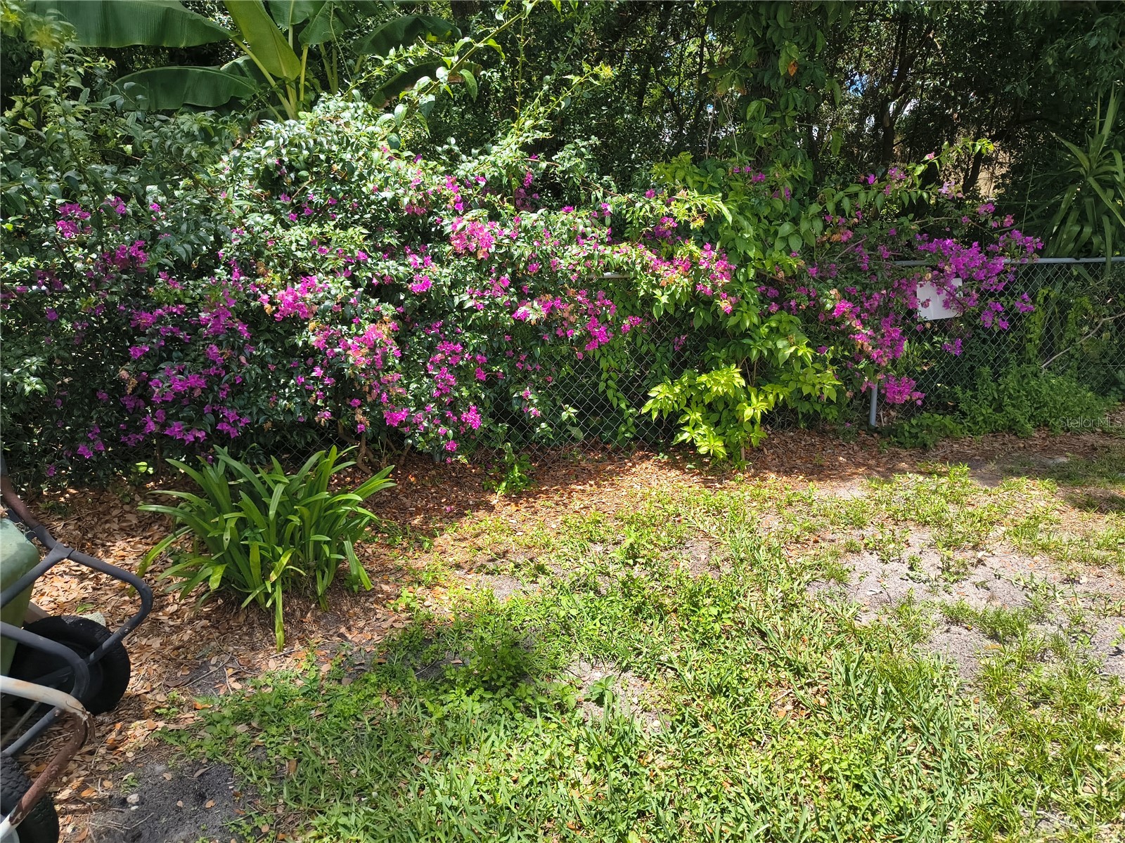6627 Parkside Drive New Port Richey FL 34653 W7886139 image58
