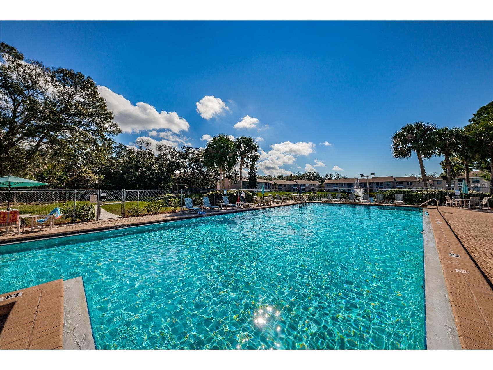 6627 Spring Flower Drive #14 New Port Richey FL 34653 TB8489632 image35