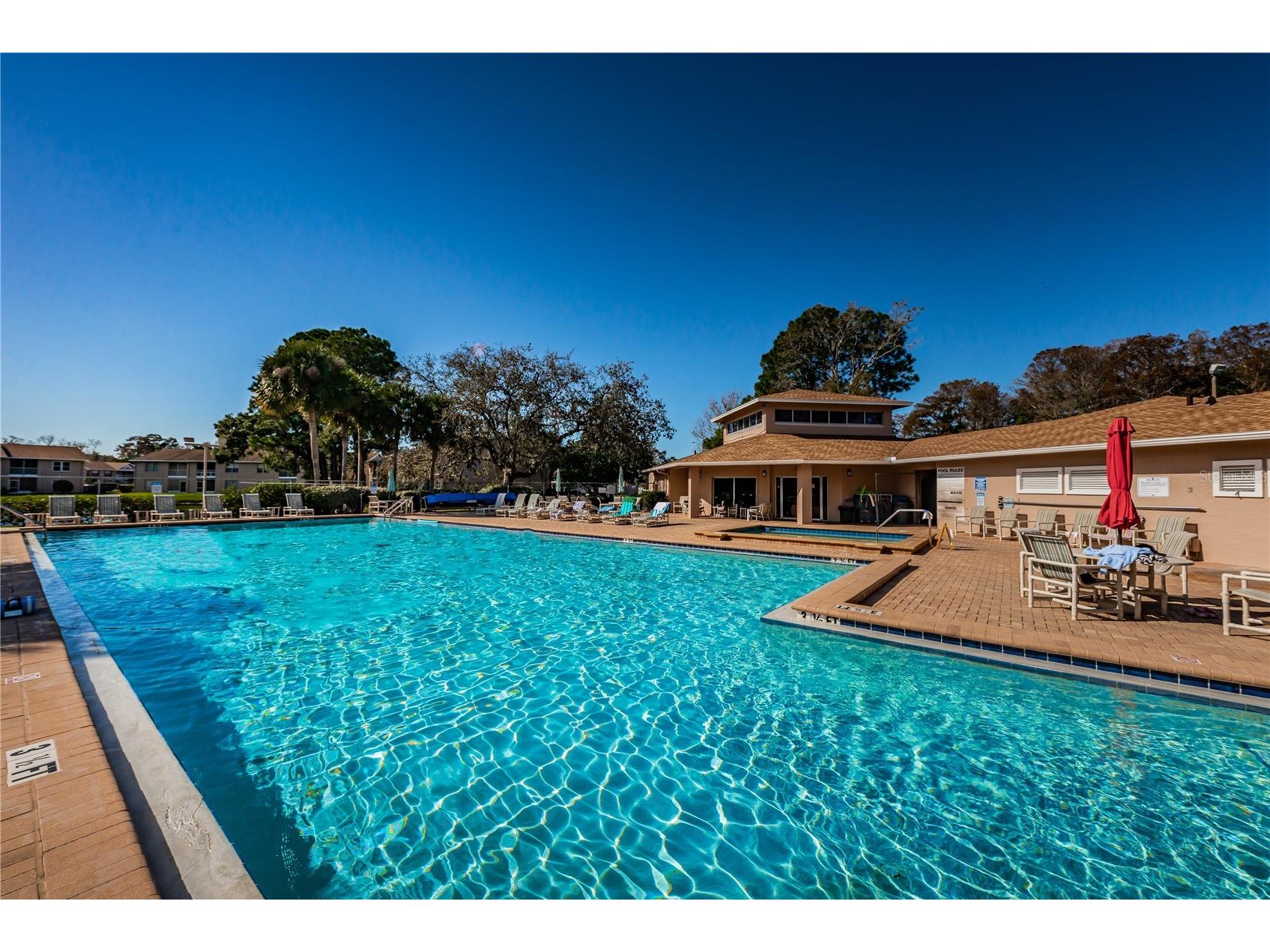 6627 Spring Flower Drive #14 New Port Richey FL 34653 TB8489632 image36