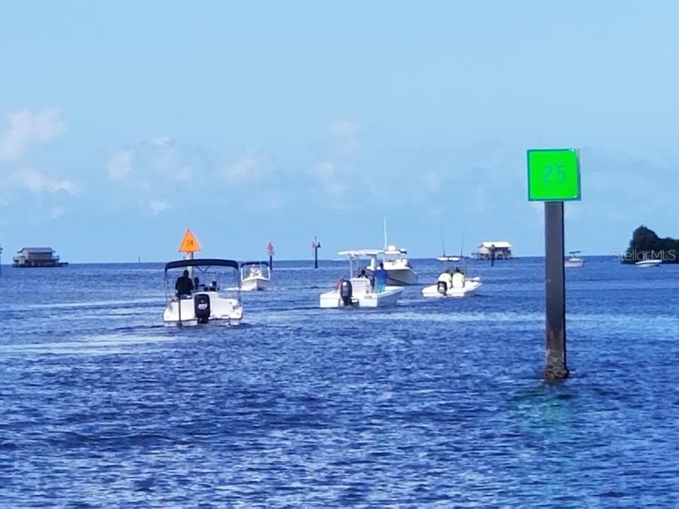 6627 Tower Drive Hudson FL 34667 TB8478719 image74