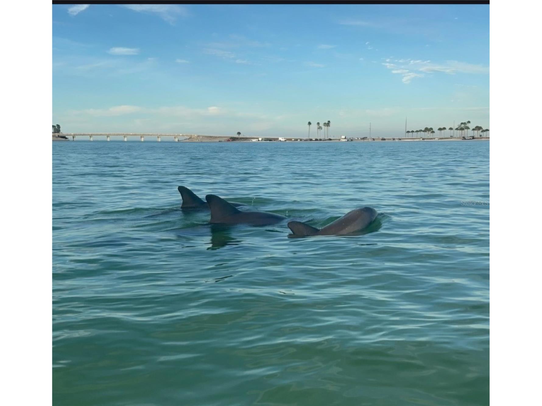 6627 Tower Drive Hudson FL 34667 TB8478719 image80