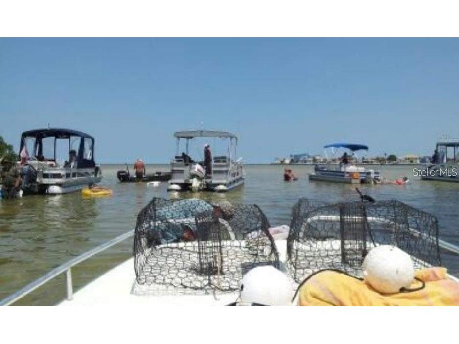 6627 Tower Drive Hudson FL 34667 TB8478719 image82