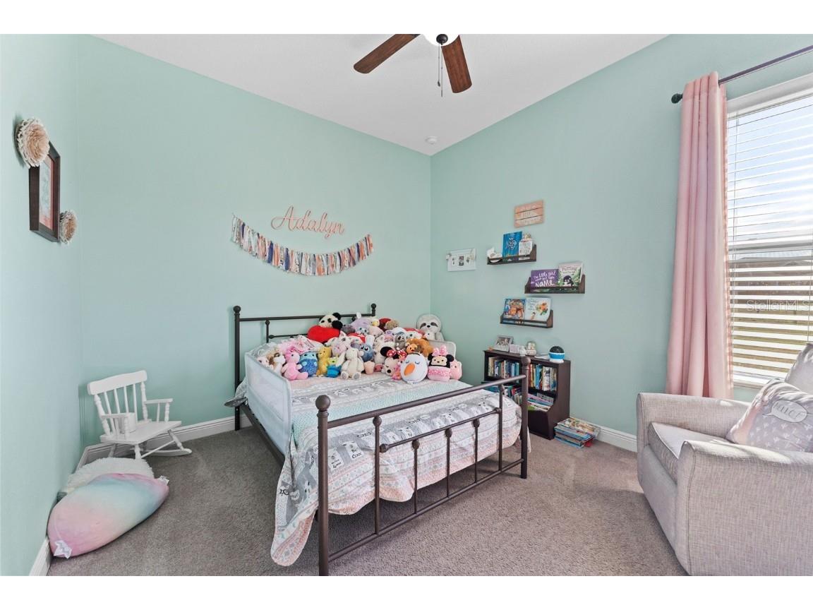 6628 Emma Jane Lane Plant City FL 33565 TB8452303 image28