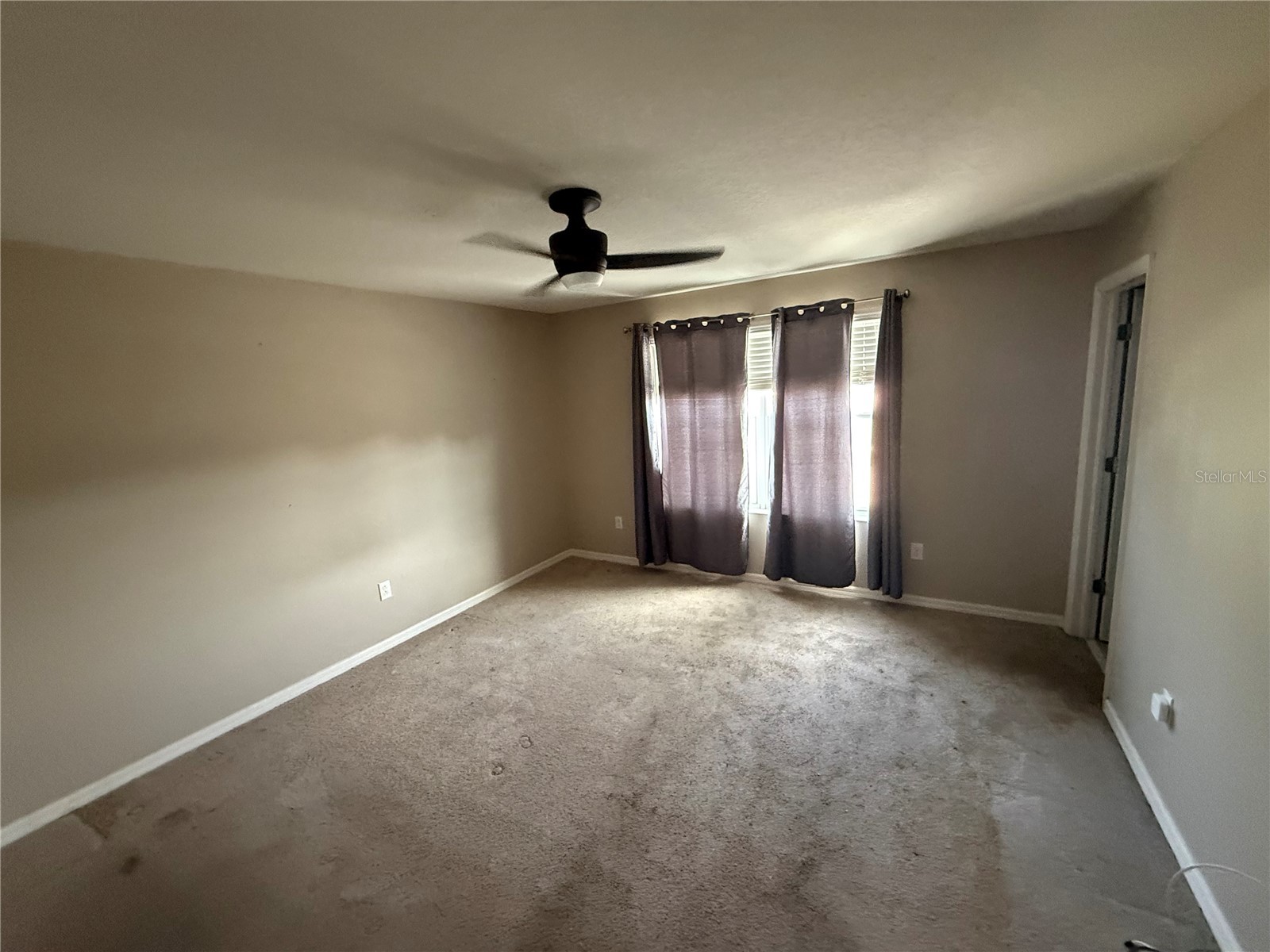 6629 Holly Heath Drive Riverview FL 33578 TB8523750 image7