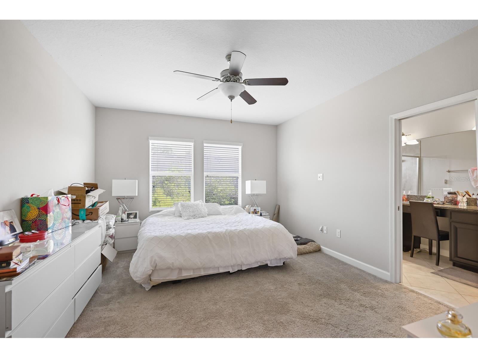 6629 Rocky Park Street Tampa FL 33625 TB8524624 image8