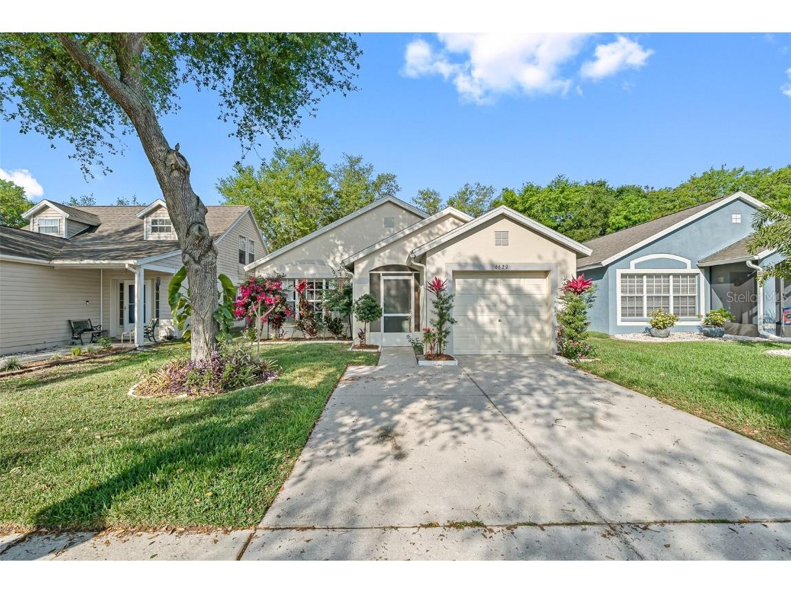 6629 Summer Haven Drive Riverview FL 33578 O6096389 image1