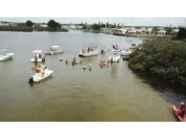 6629 Tower Drive Hudson FL 34667 - GULF OF MEXICO - AMERICA TB8522721 image88