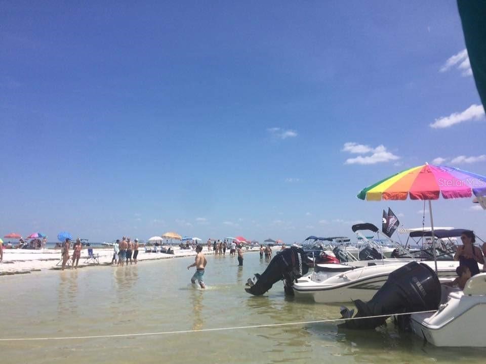 6629 Tower Drive Hudson FL 34667 - GULF OF MEXICO - AMERICA TB8522721 image93