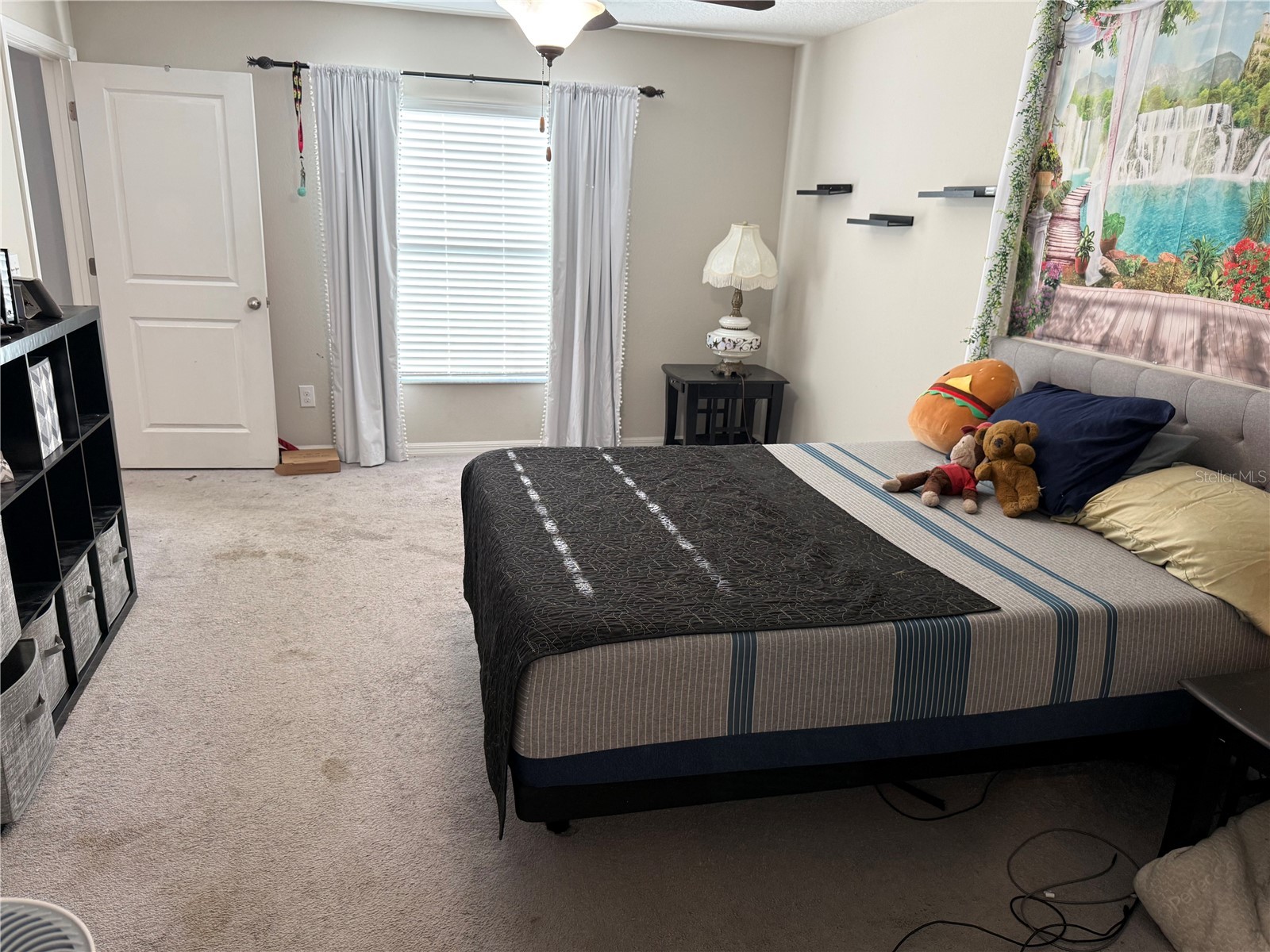 6629 Wagon Trail Street Zephyrhills FL 33541 TB8498399 image12