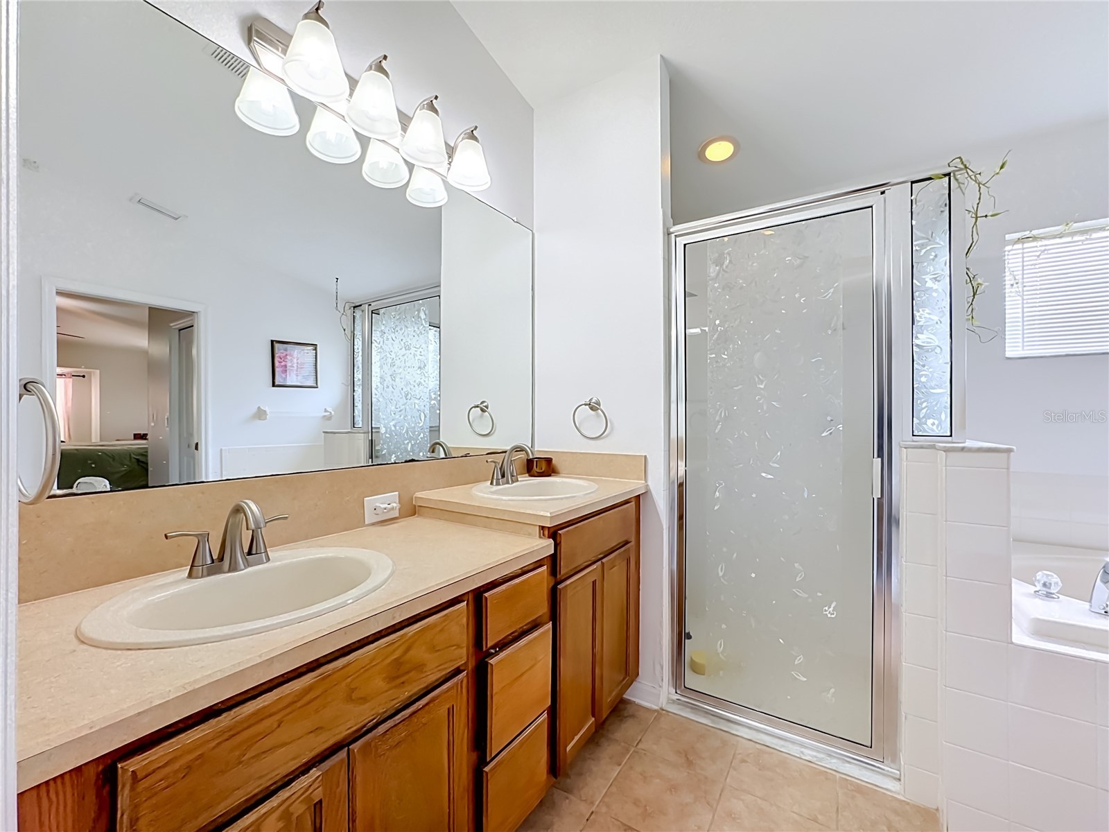 6630 Cambridge Park Drive Apollo Beach FL 33572 TB8523816 image39