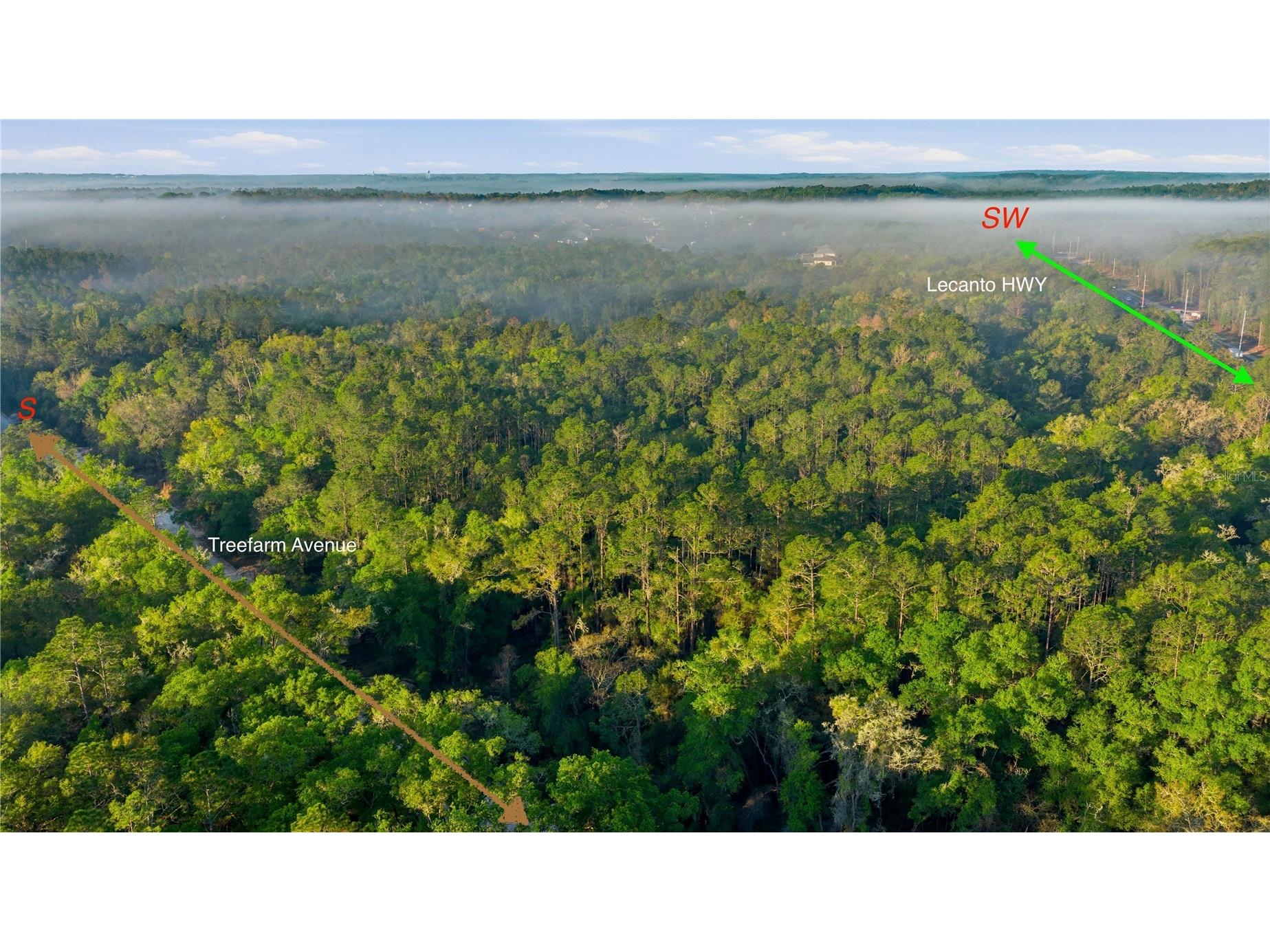 6630 N Treefarm Avenue Beverly Hills FL 34465 OM721775 image8