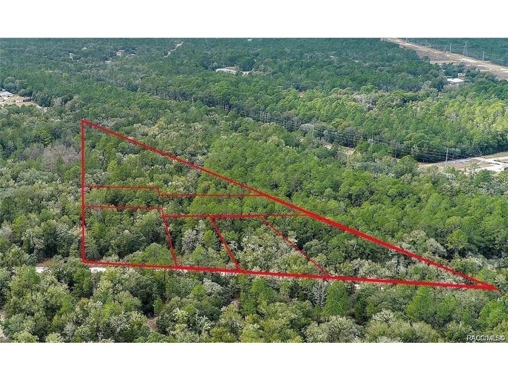 6630 N Treefarm Avenue Beverly Hills FL 34465 U8254548 image1