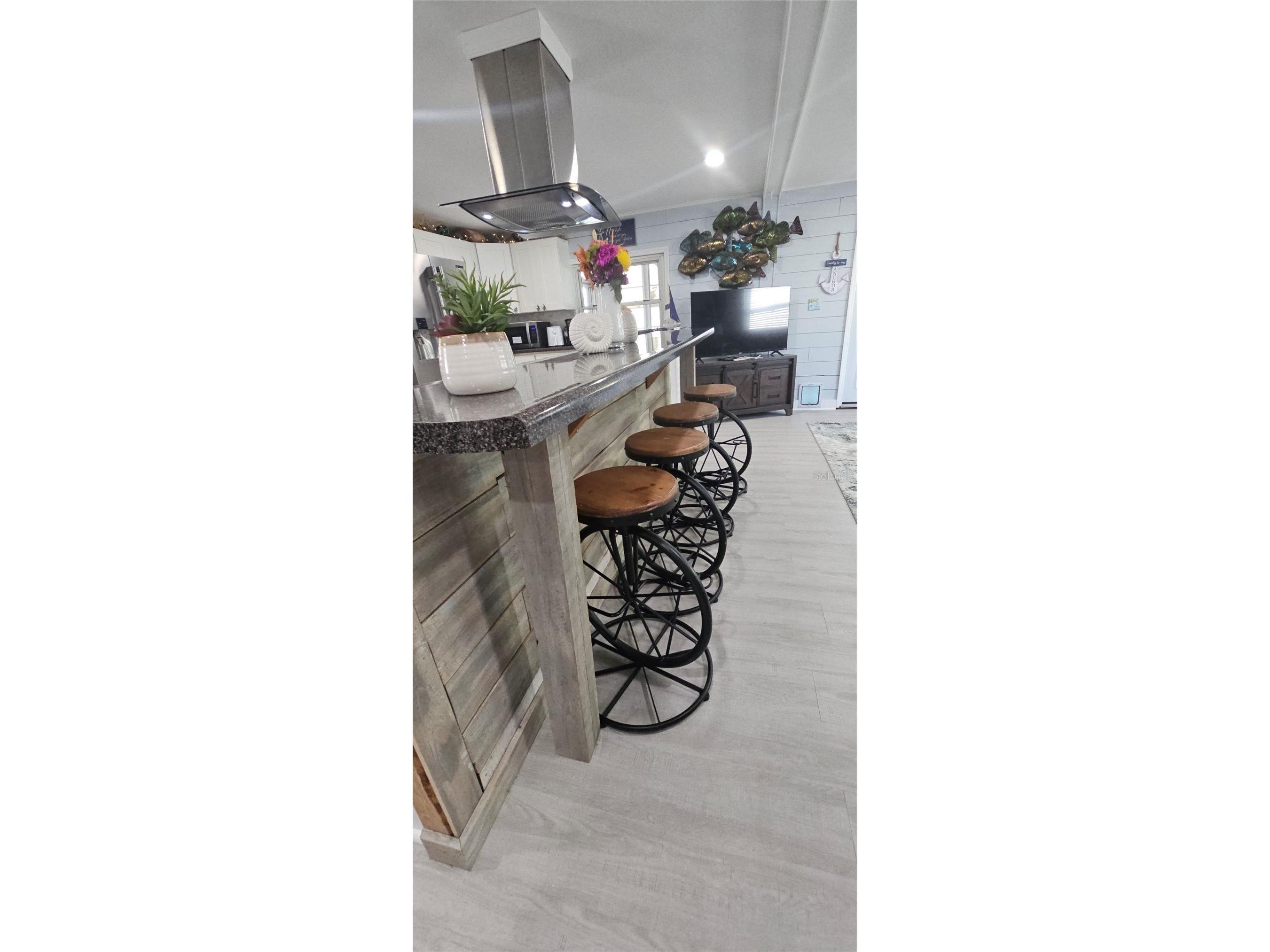 6630 Tower Drive Hudson FL 34667 - GULF OF MEXICO - AMERICA TB8525021 image20