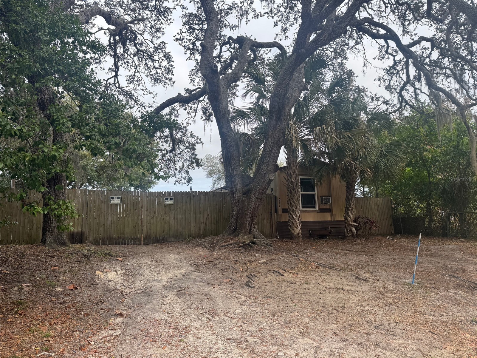 6631 Celeste Lane New Port Richey FL 34653 W7881745 image1