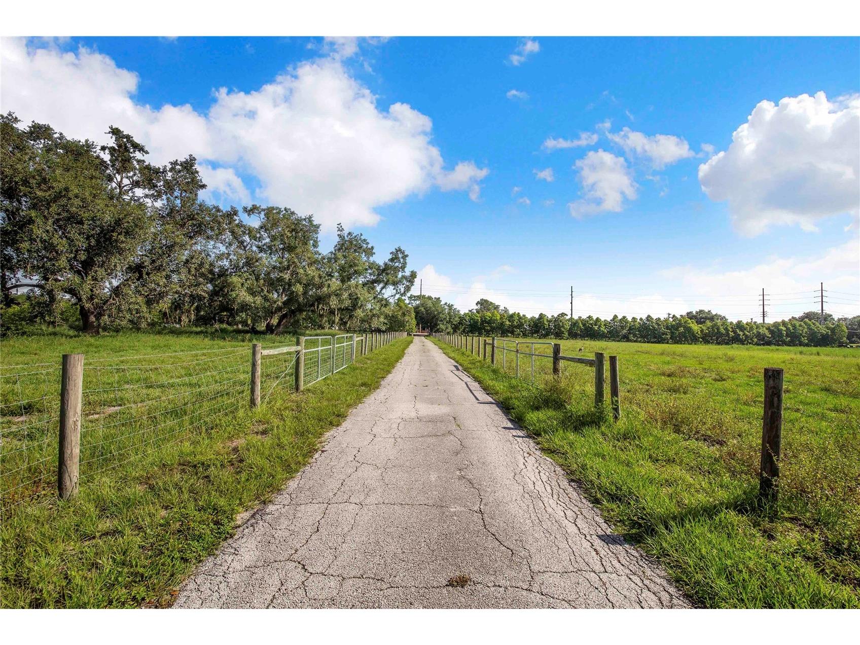 6631 Lake Hatchineha Road Haines City FL 33844 - PRIVATE STOCKED POND P4938196 image97