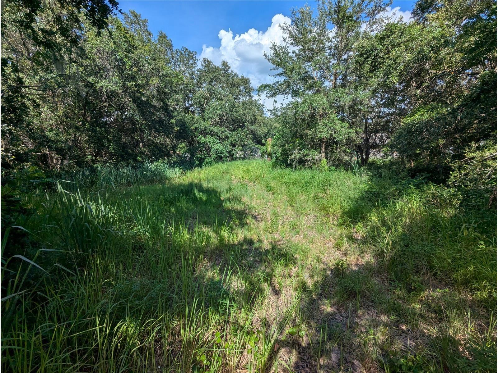 6631 Merle Street Mulberry FL 33860 O6415147 image1