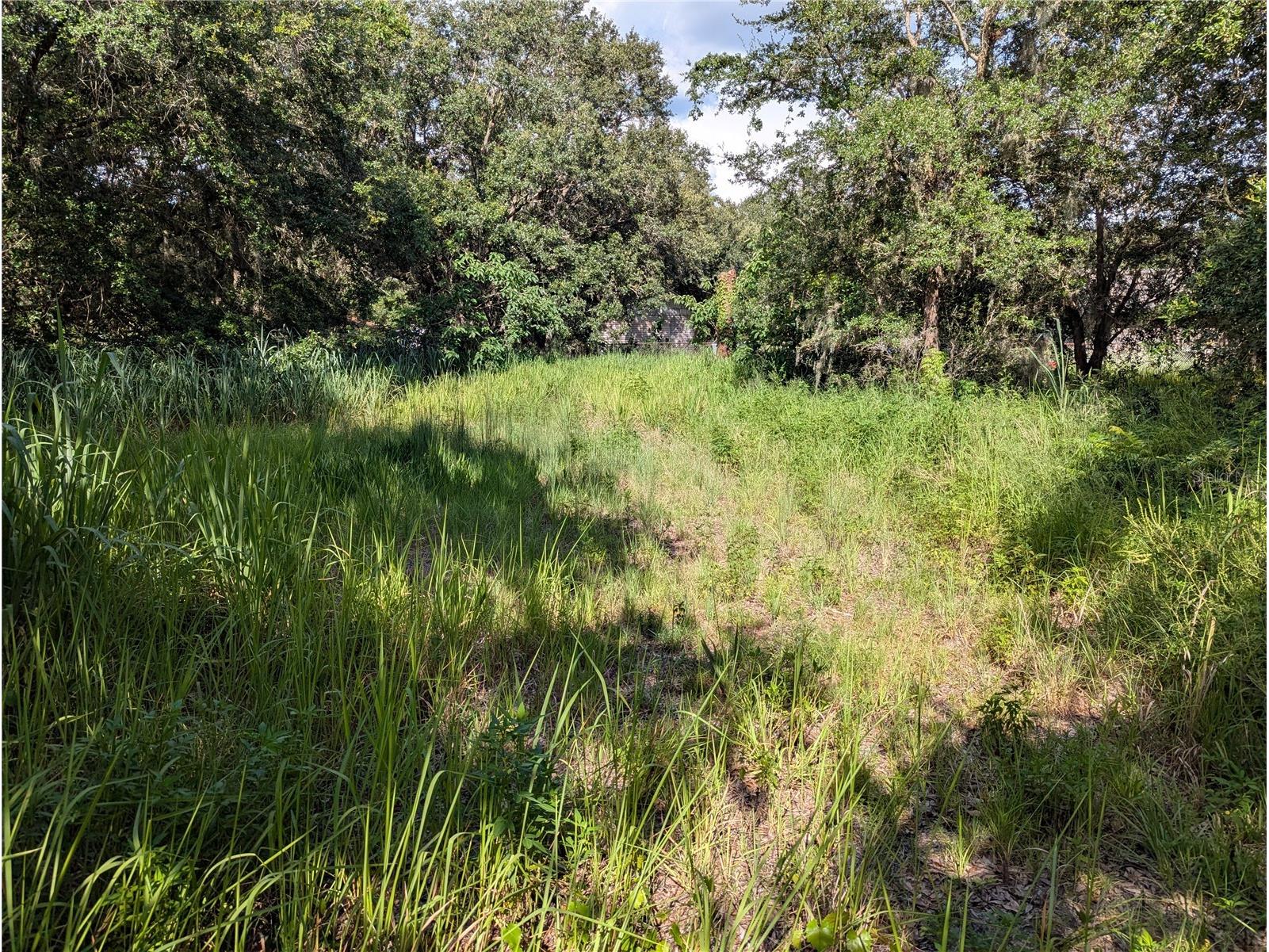 6631 Merle Street Mulberry FL 33860 O6415147 image2
