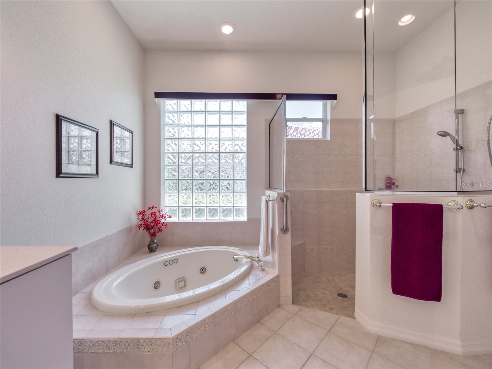 6631 Waters Edge Way Lakewood Ranch FL 34202 A4669886 image54