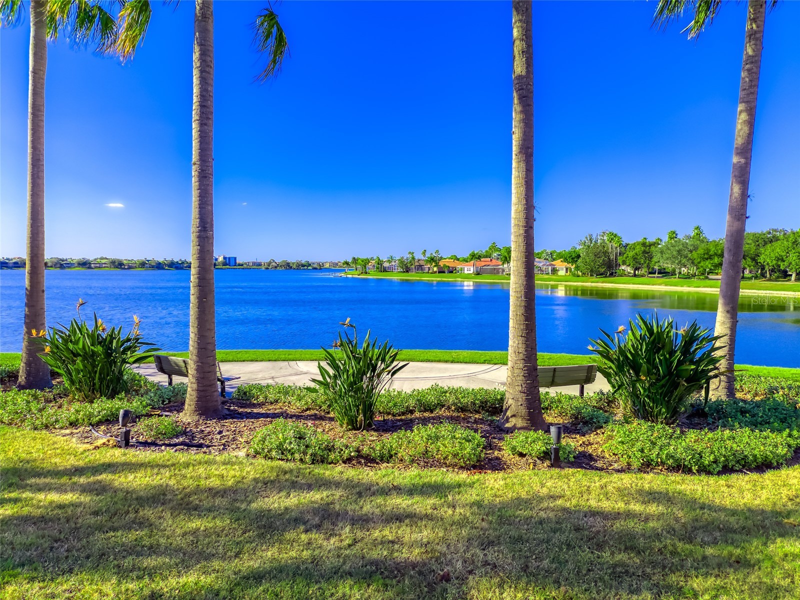6631 Waters Edge Way Lakewood Ranch FL 34202 A4669886 image74