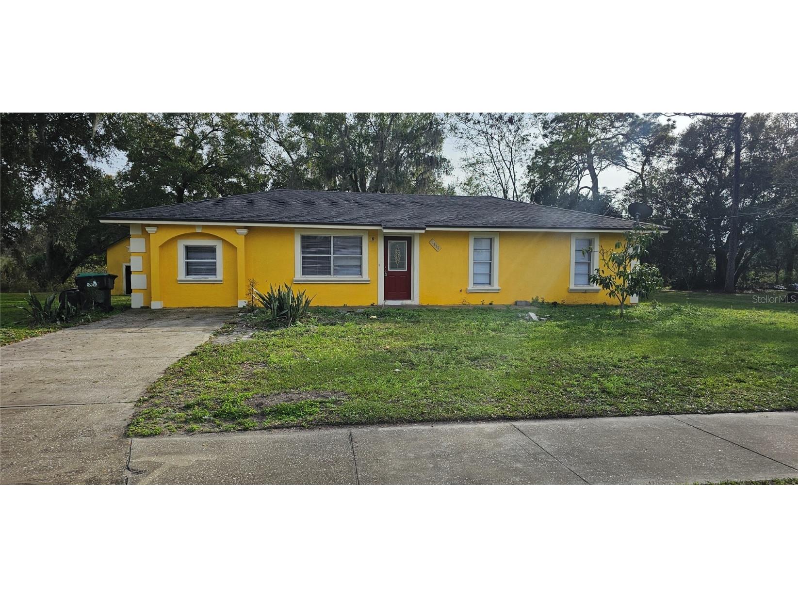 6632 Willow Street Mount Dora FL 32757 O6170147 image1