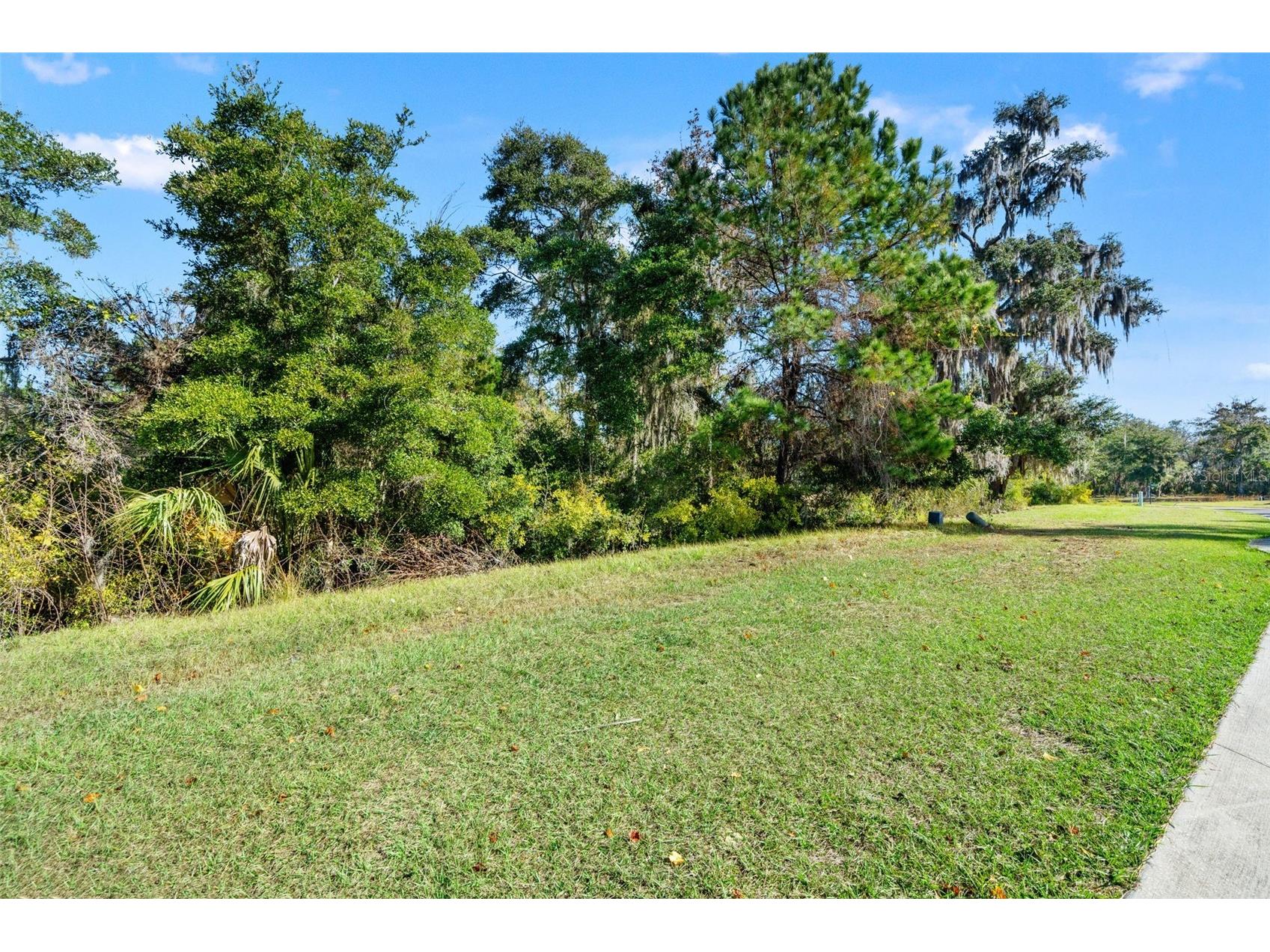 6633 Summit View Drive Brooksville FL 34601 TB8459131 image14