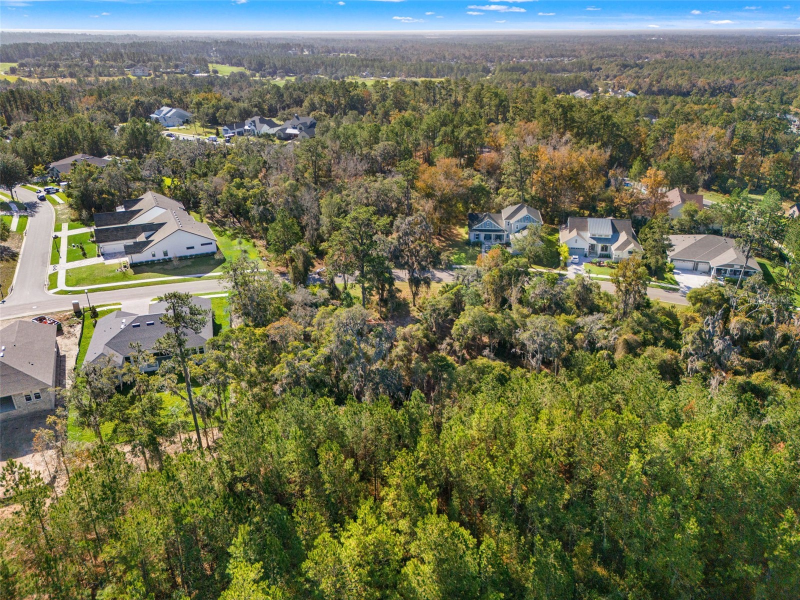 6633 Summit View Drive Brooksville FL 34601 TB8459131 image7