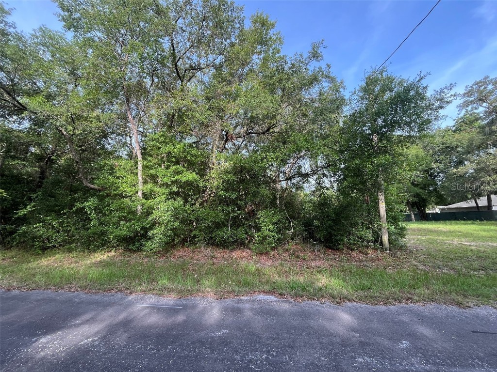 6634 N Pagoda Tree Terrace Hernando FL 34442 OK225315 image2