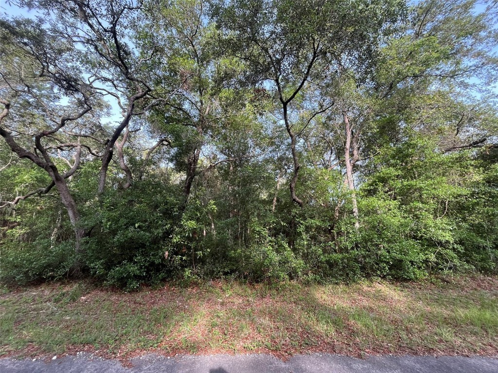 6634 N Pagoda Tree Terrace Hernando FL 34442 OK225315 image5