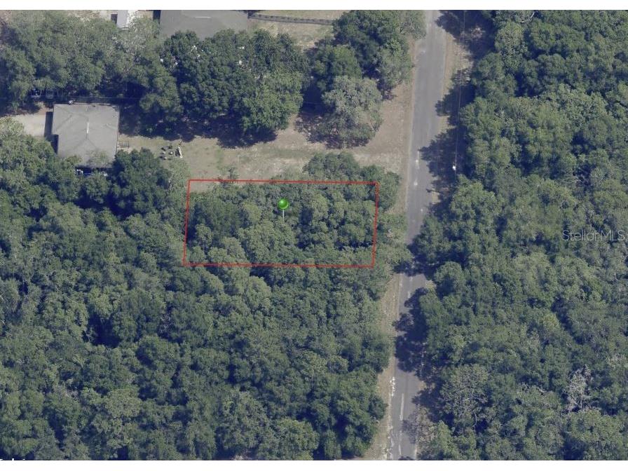 6634 N Pagoda Tree Terrace Hernando FL 34442 OK225315 image8