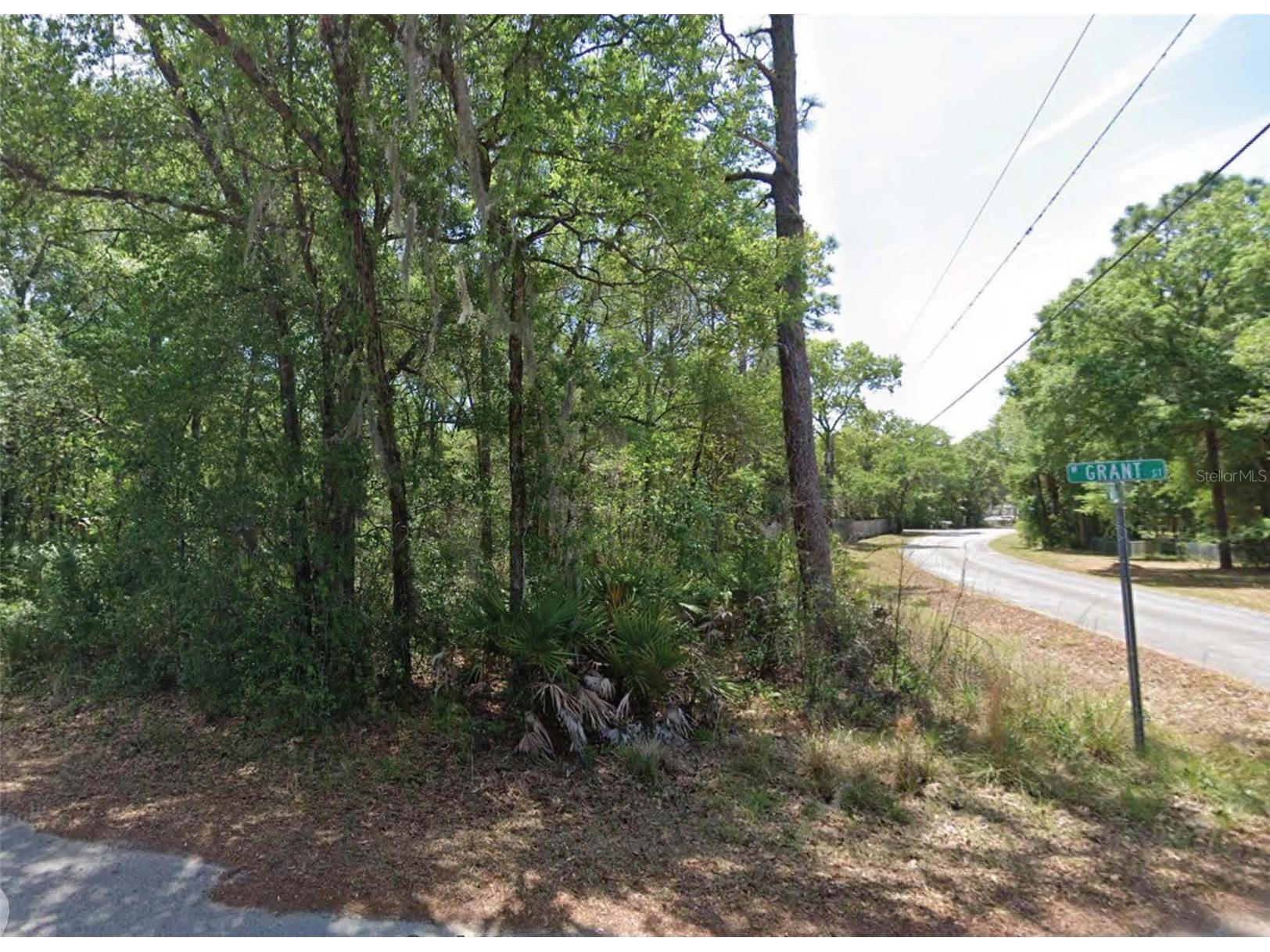 6634 W Grant Street Homosassa FL 34448 O6389098 image1