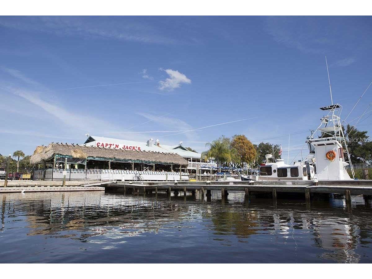 6637 Driftwood Drive Hudson FL 34667 - GULF OF MEXICO W7882899 image79